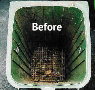 before bin cleaning